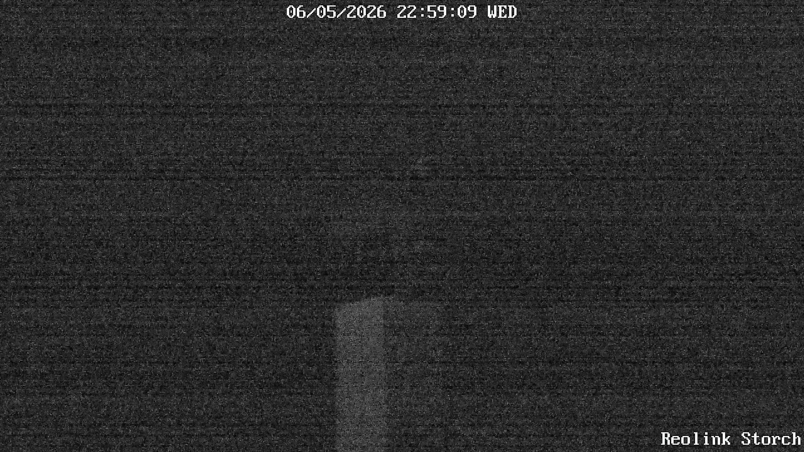 Storchencam Bild