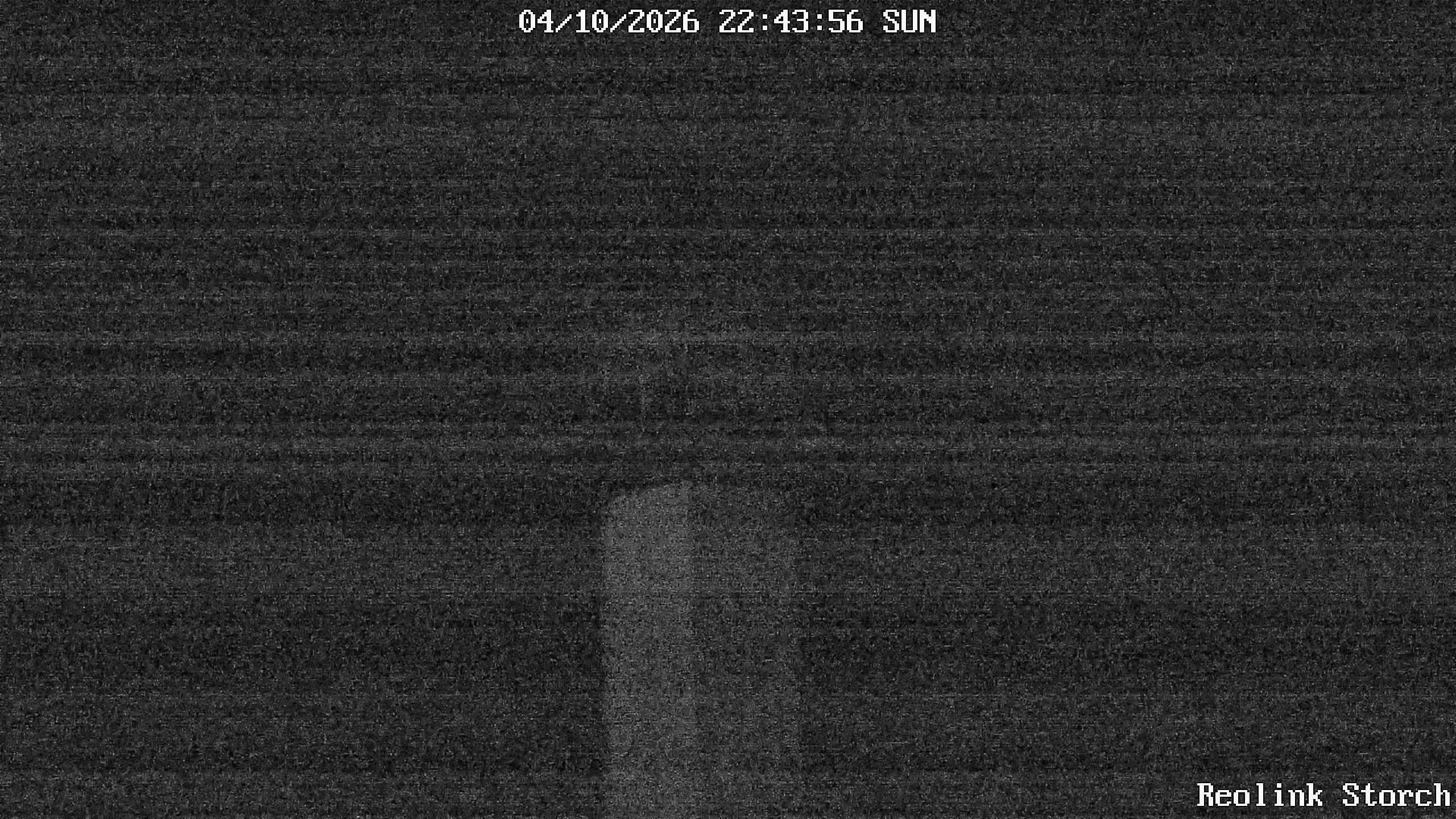 Storchencam Bild