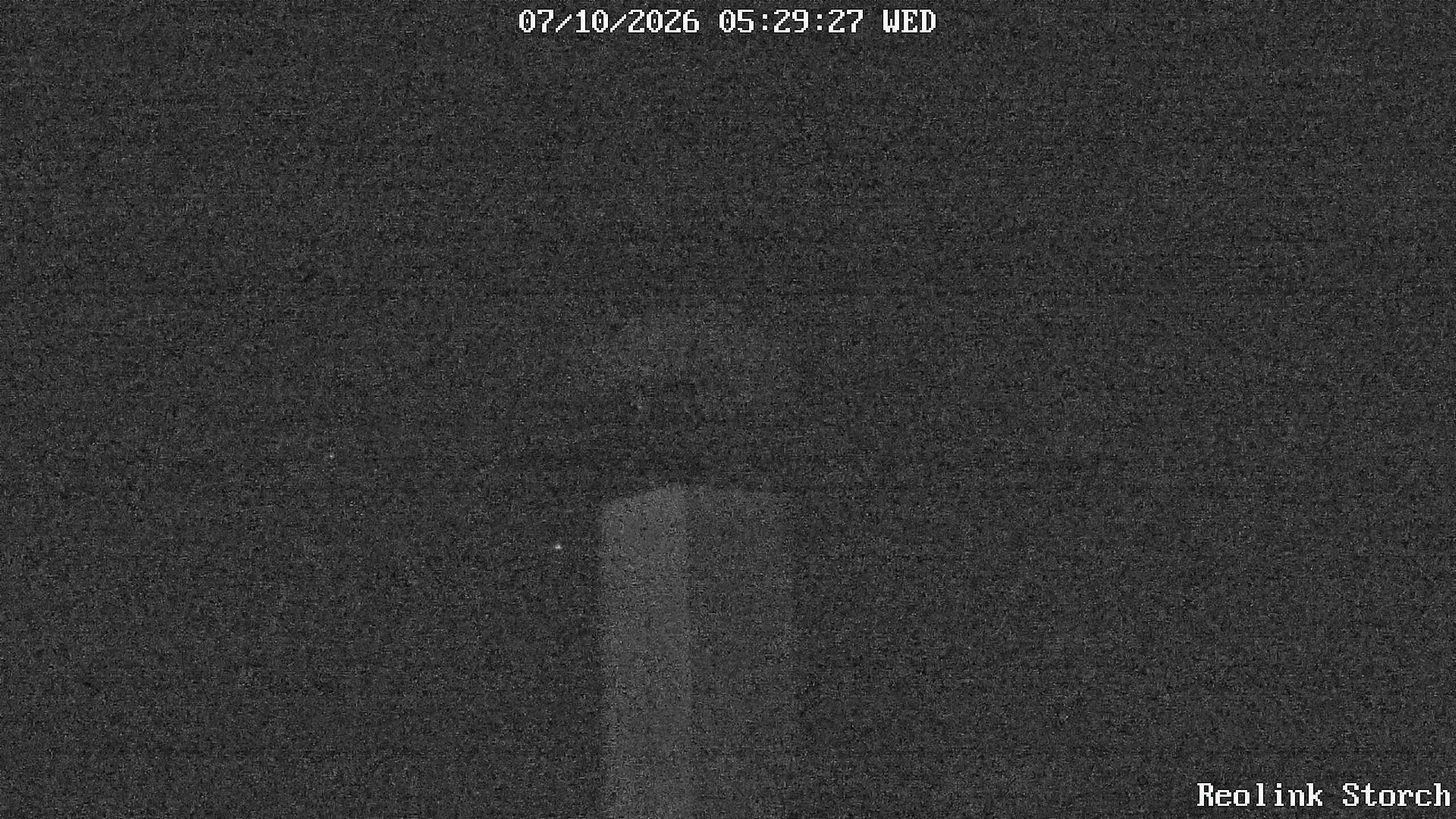 Storchencam Bild