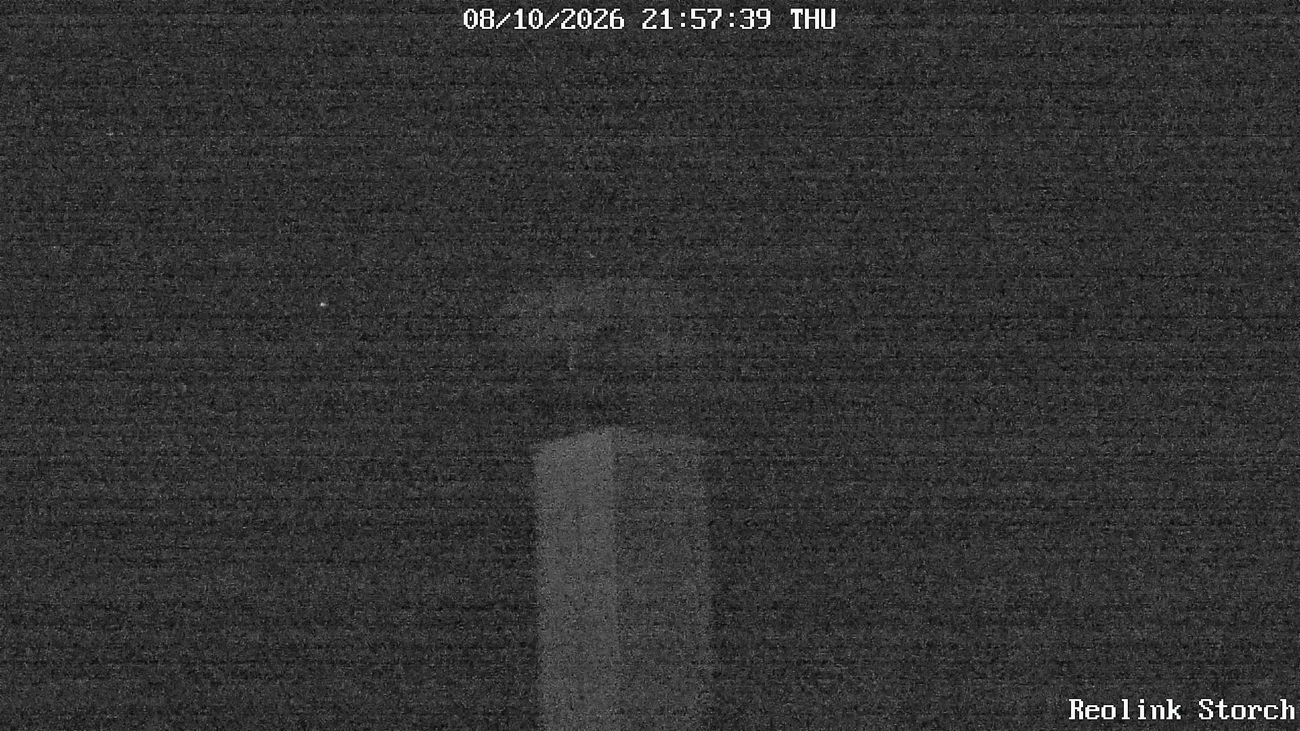 Storchencam Bild