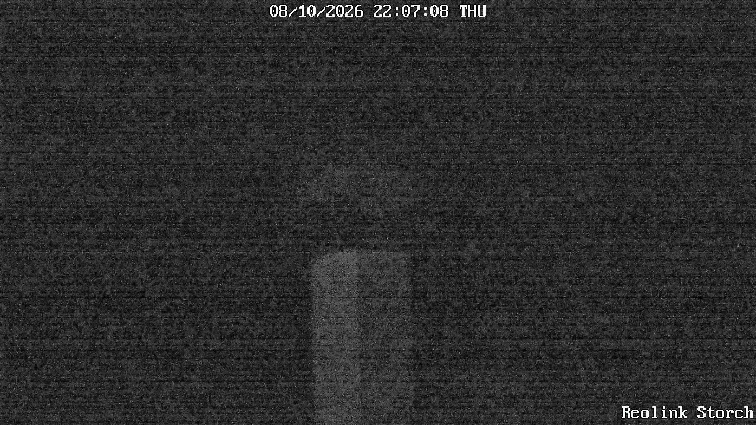 Storchencam Bild