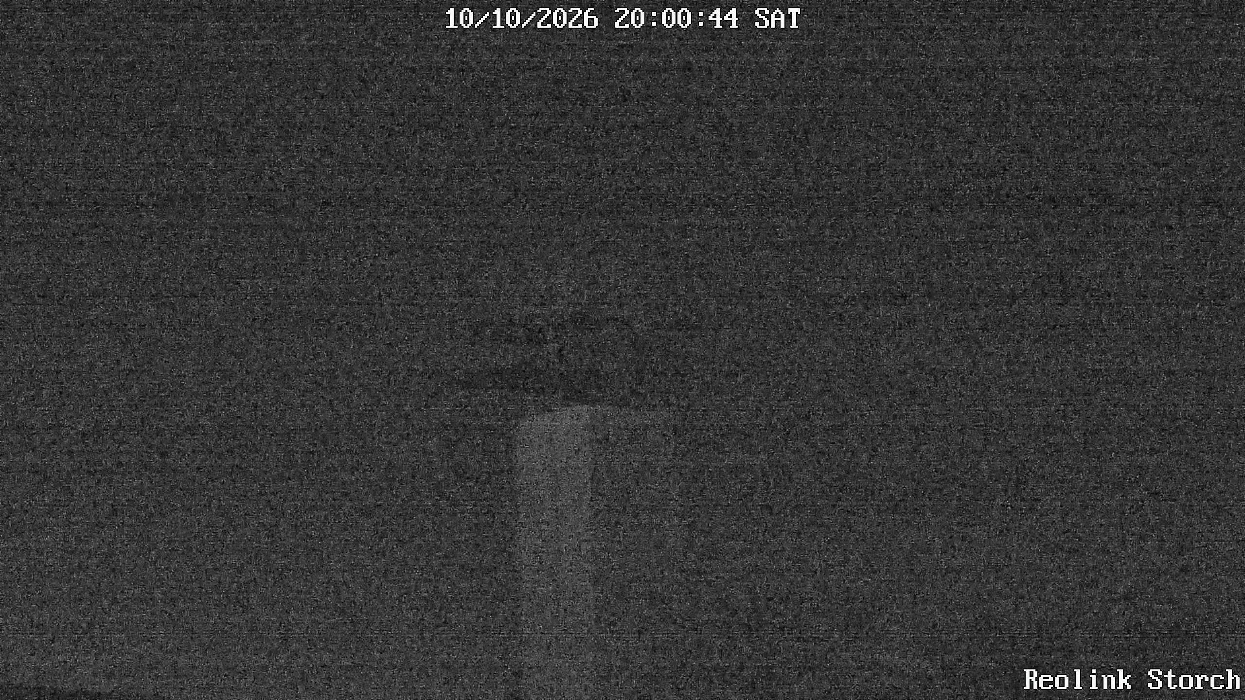 Storchencam Bild