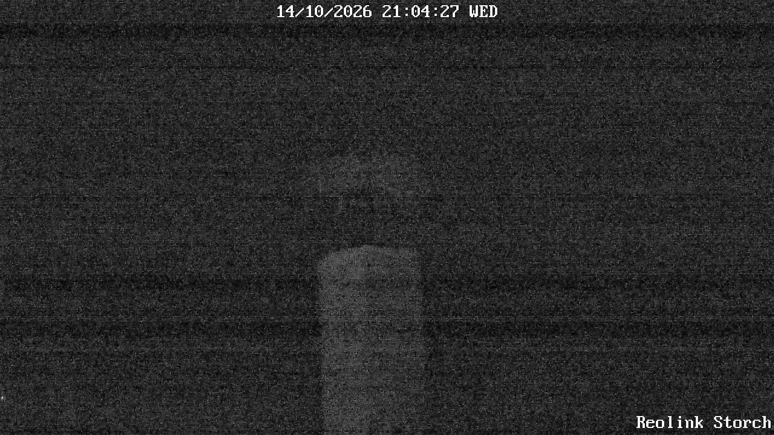 Storchencam Bild