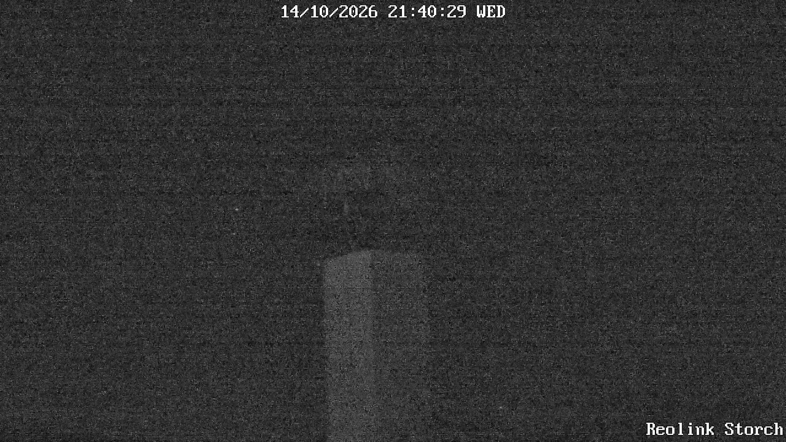 Storchencam Bild