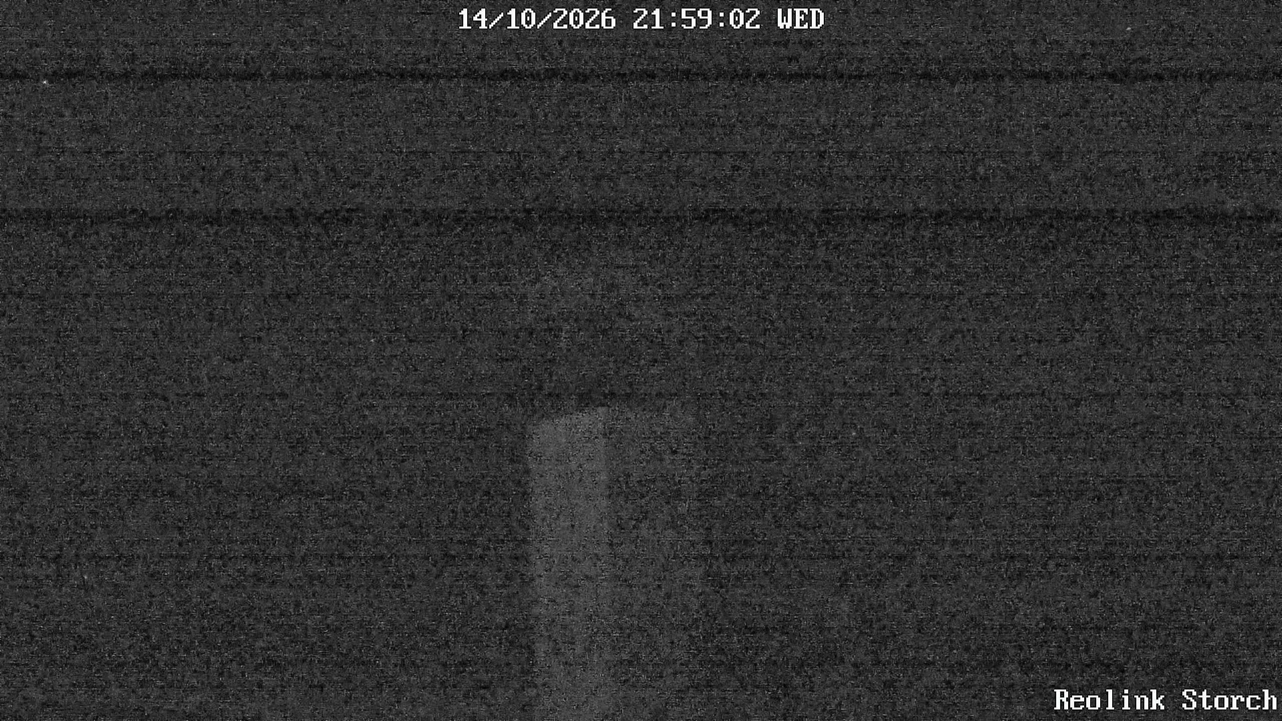 Storchencam Bild