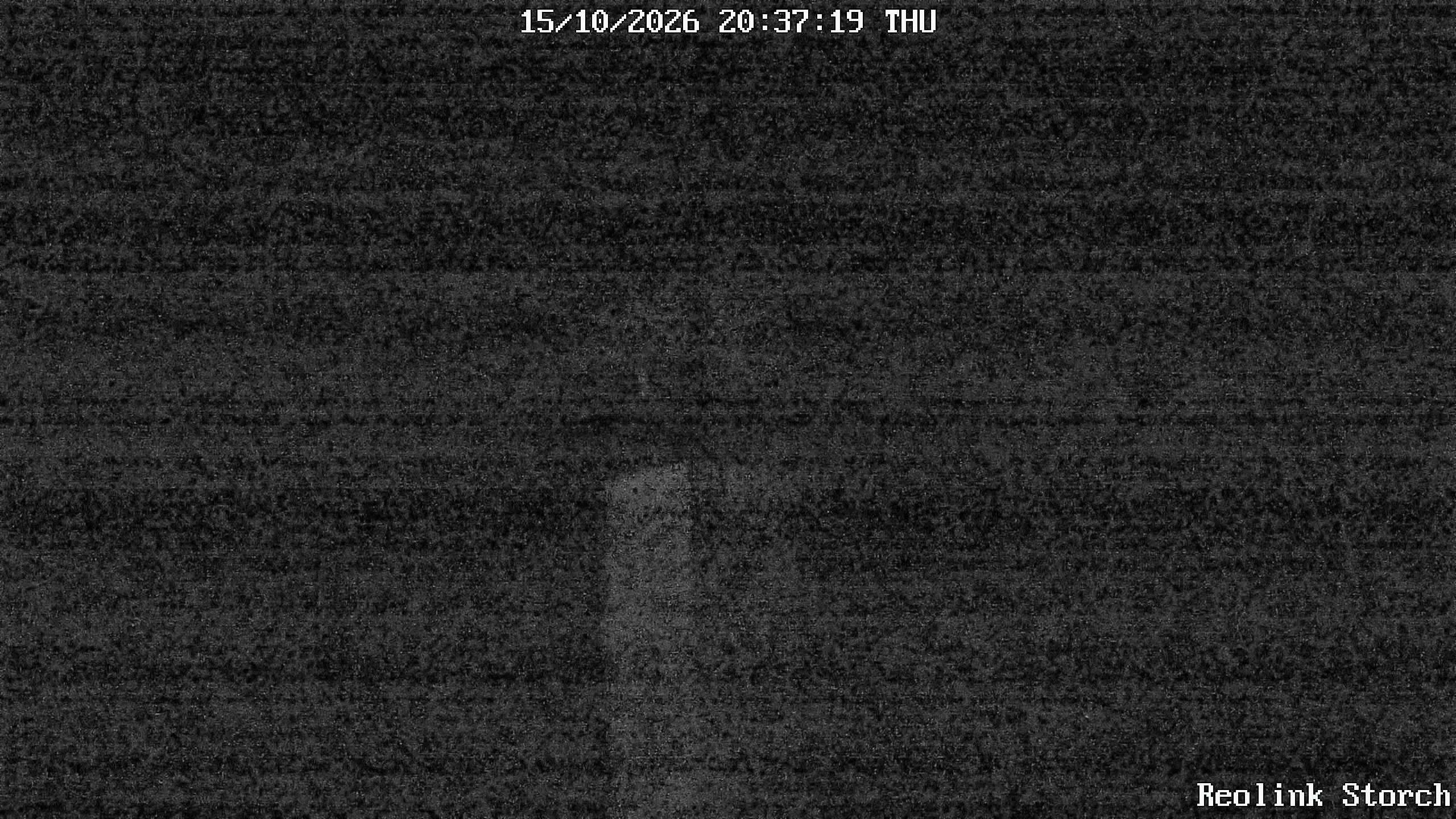 Storchencam Bild