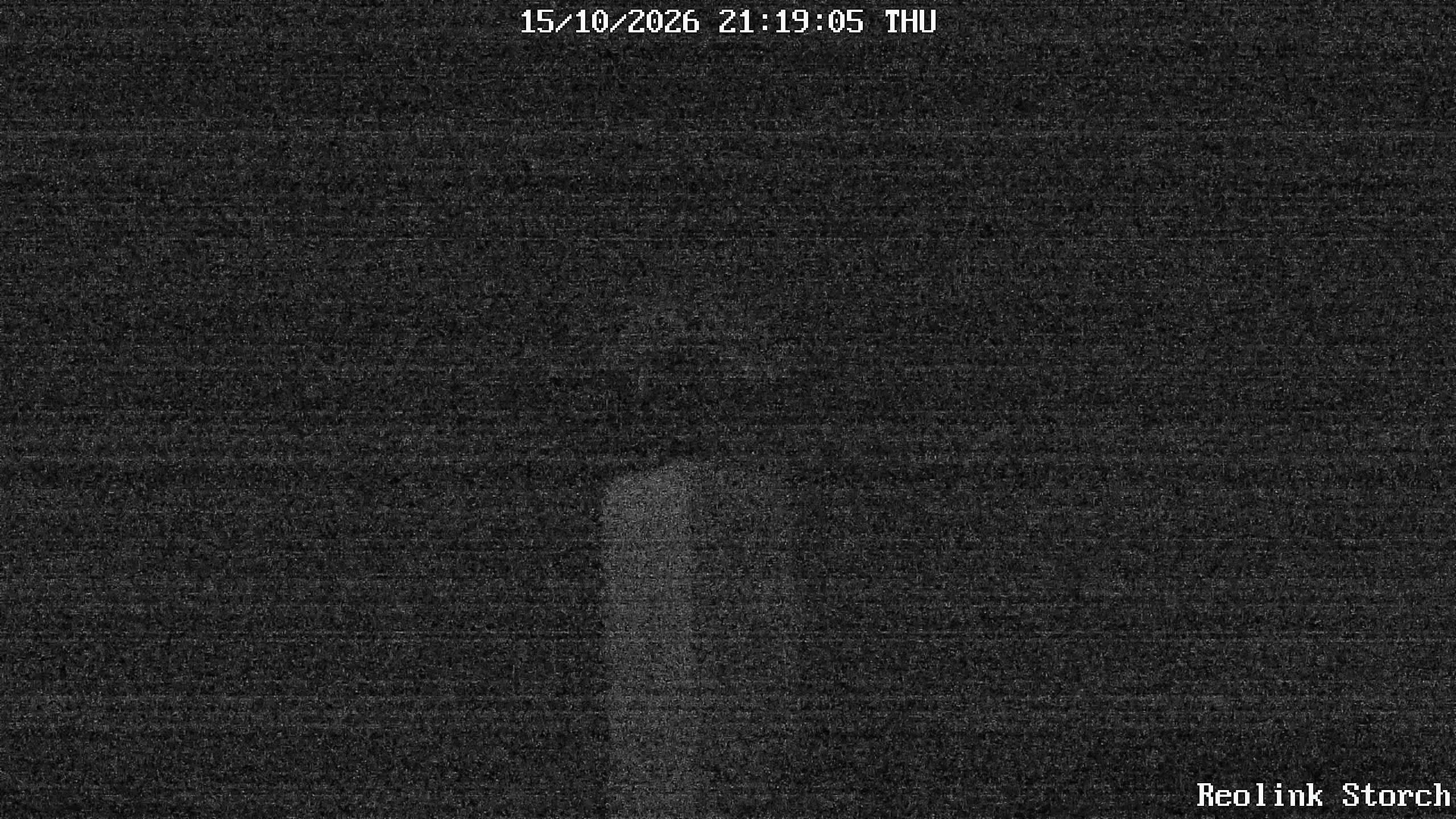 Storchencam Bild