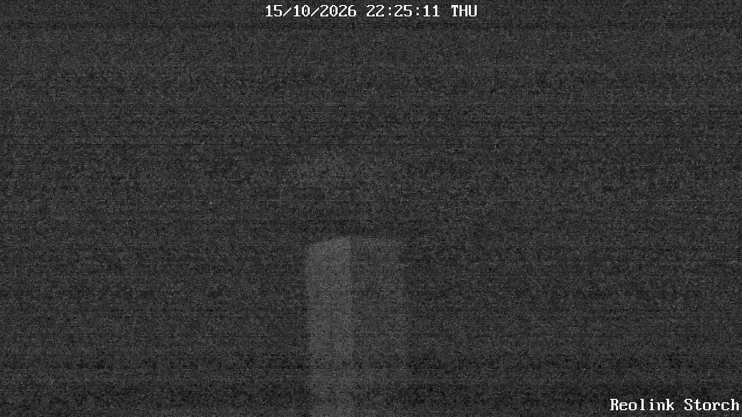 Storchencam Bild
