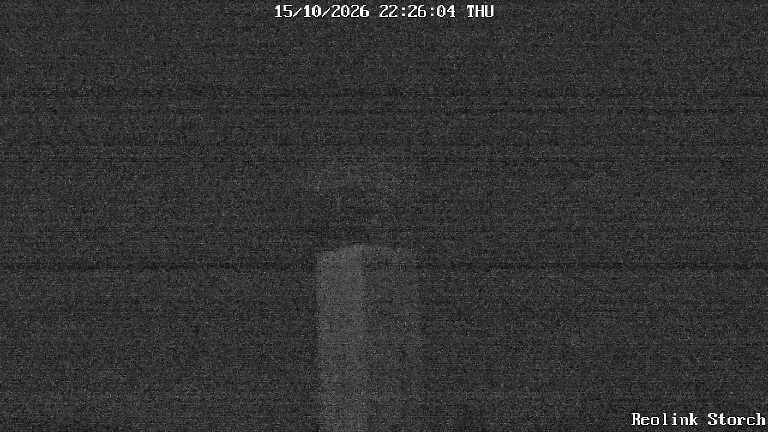 Storchencam Bild