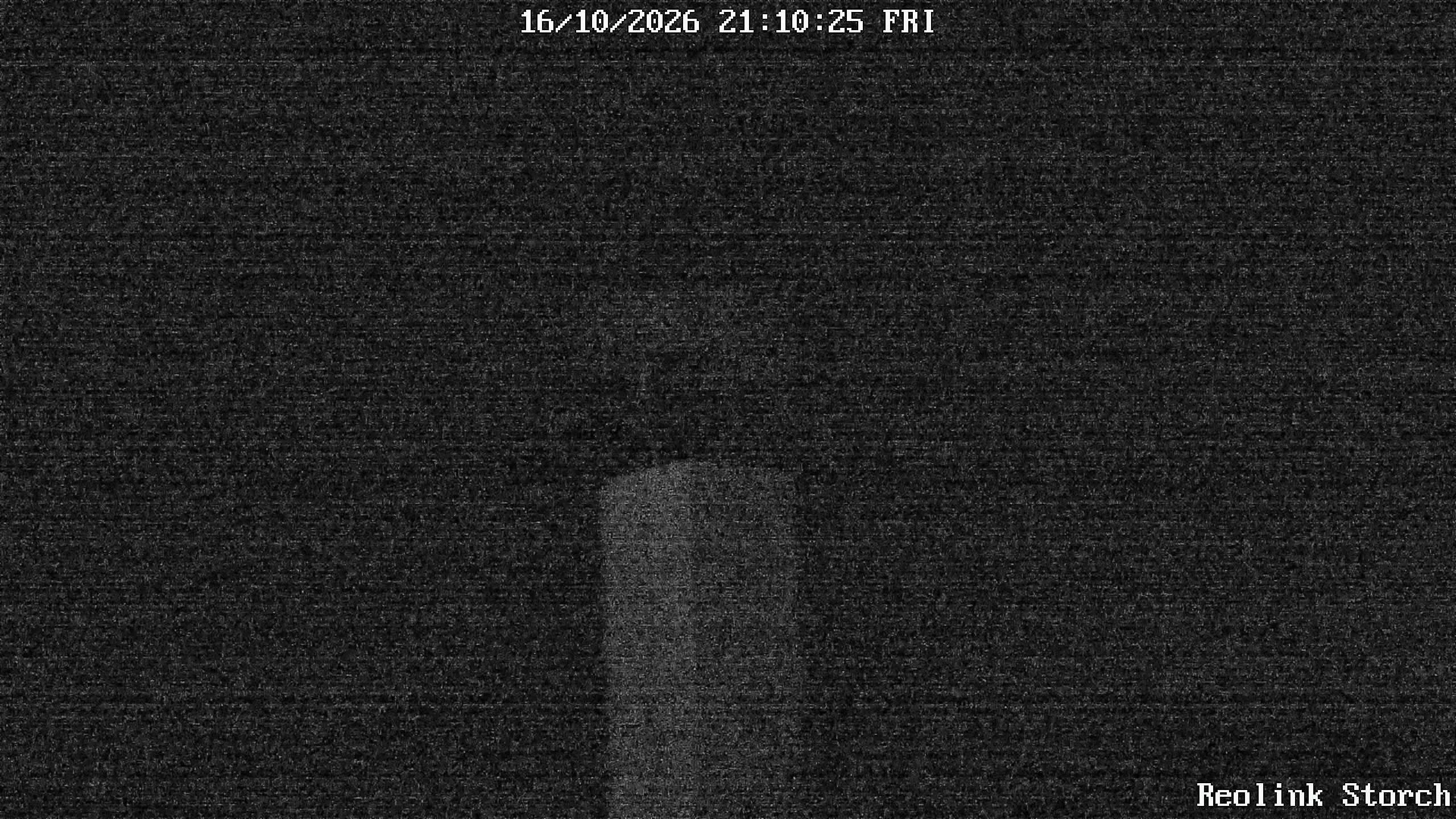 Storchencam Bild