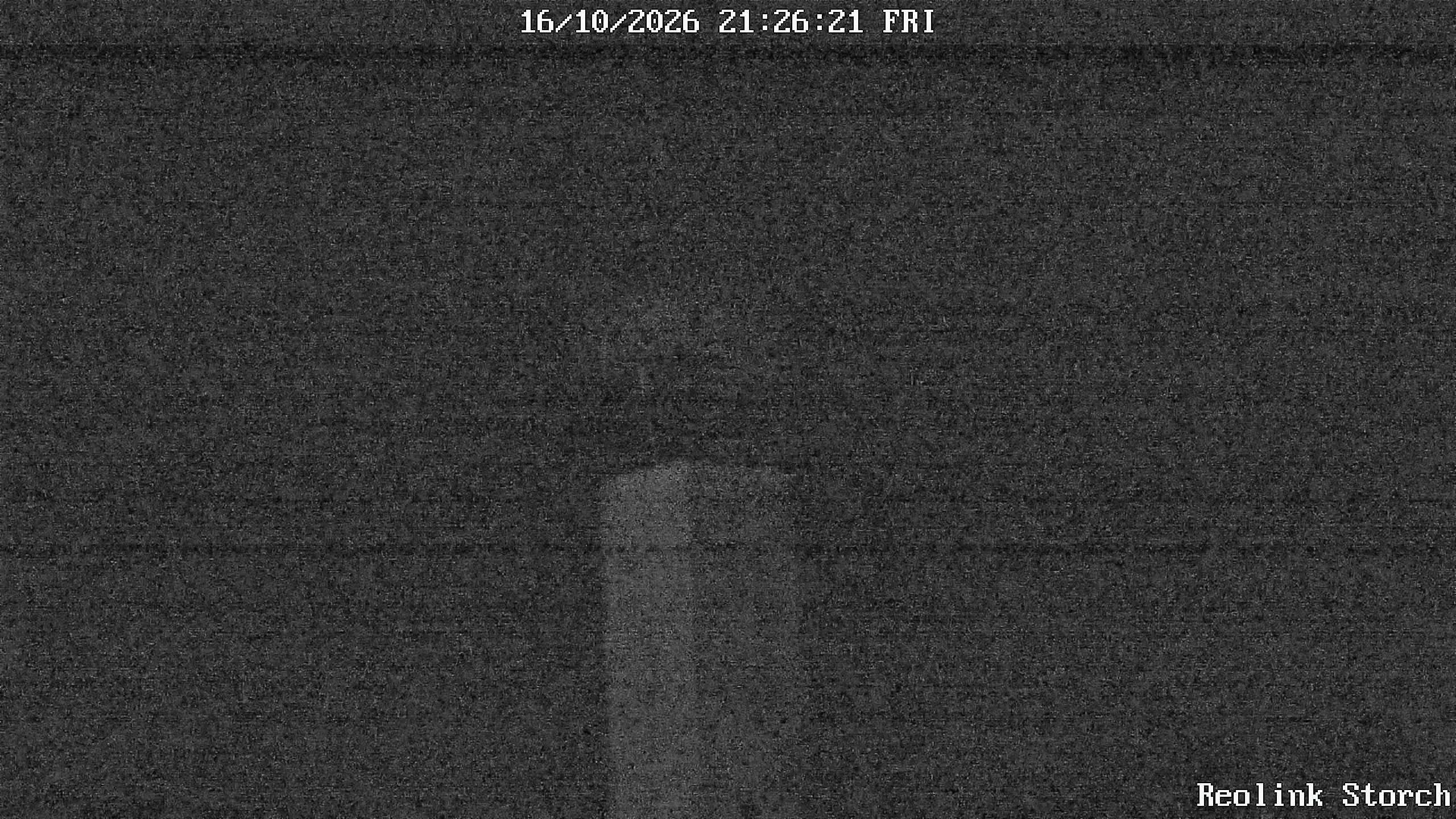 Storchencam Bild