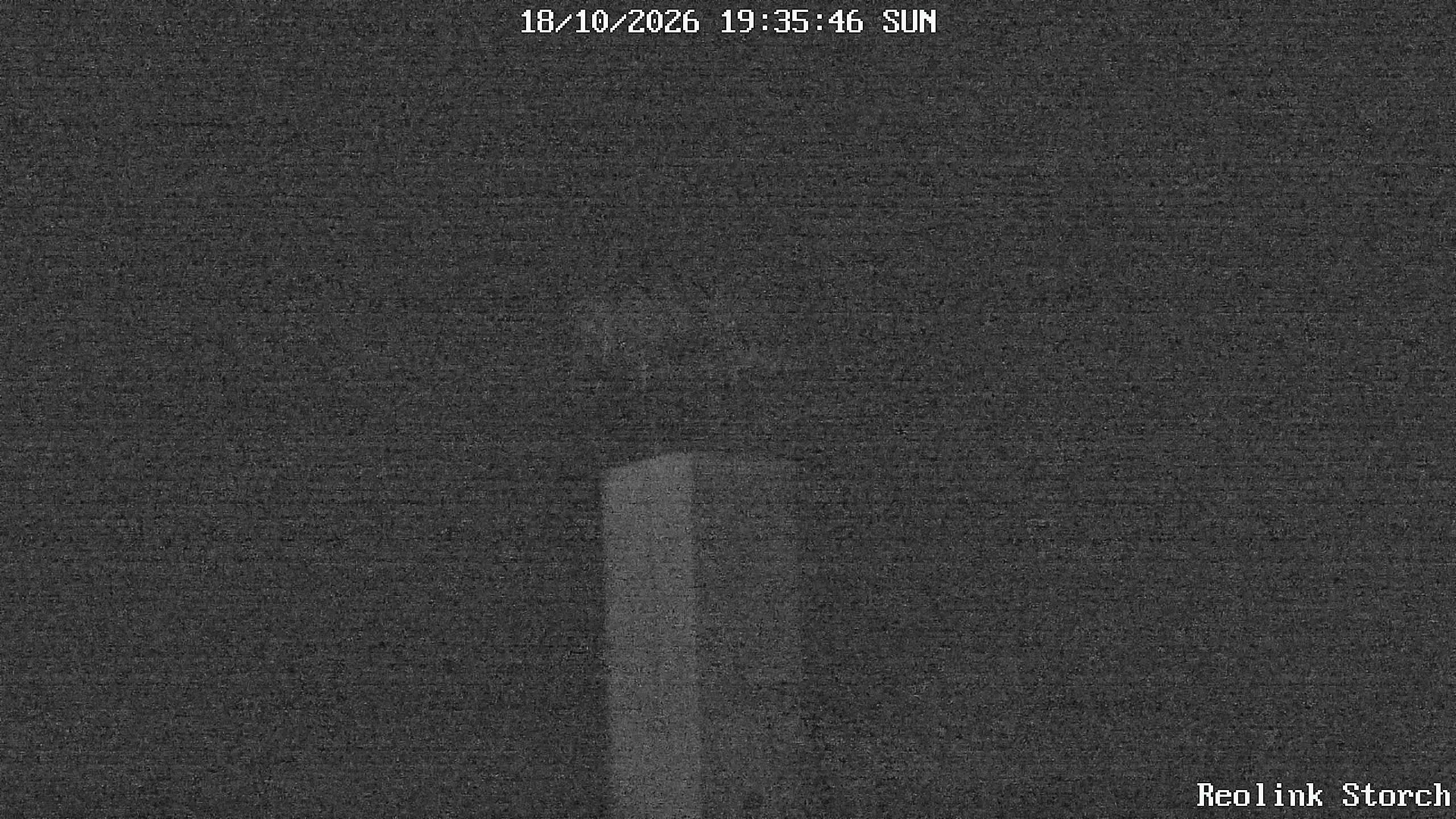 Storchencam Bild
