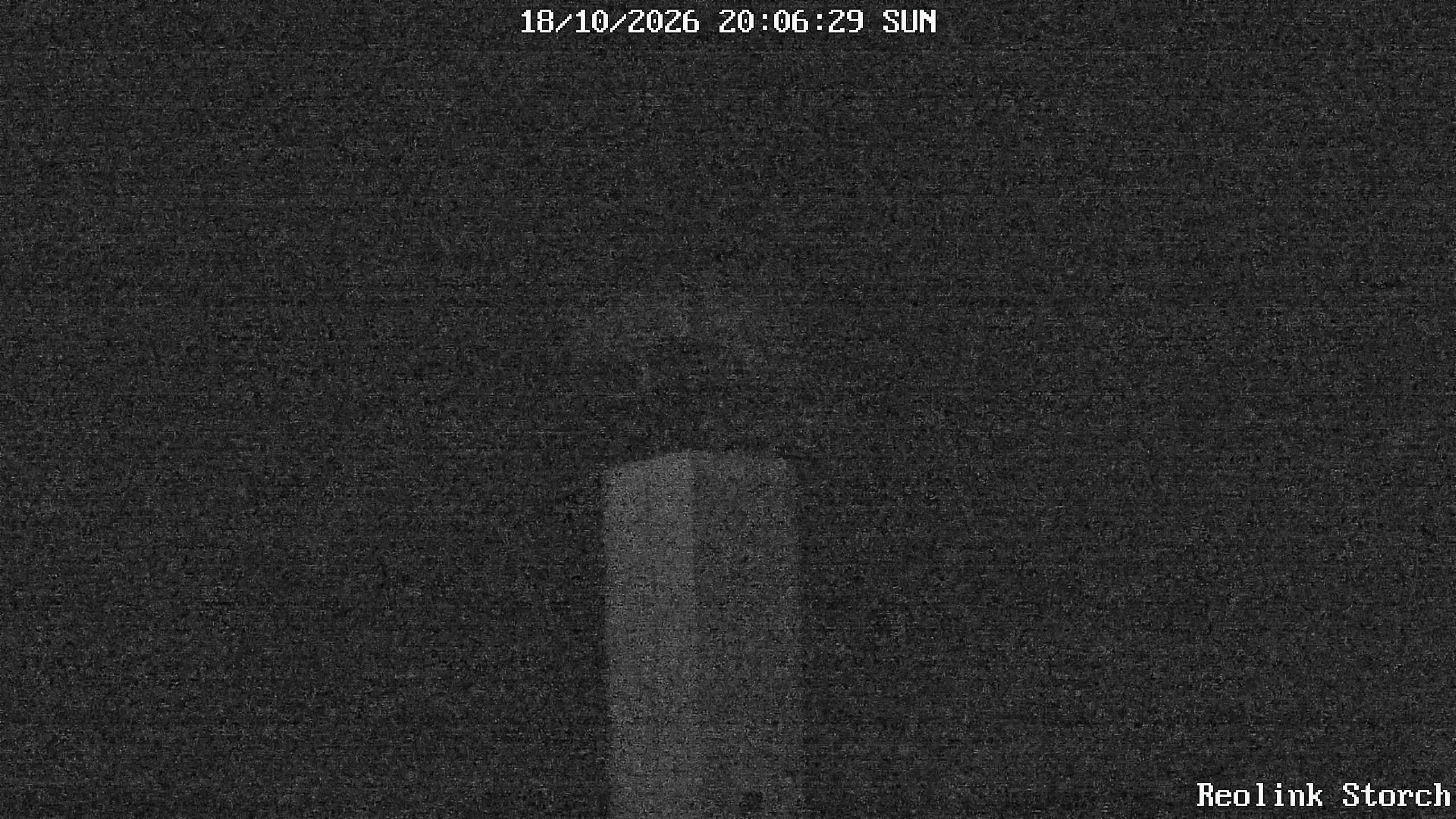 Storchencam Bild
